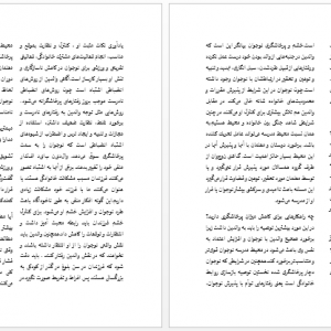 بروشور پرخاشگری نوجوانان